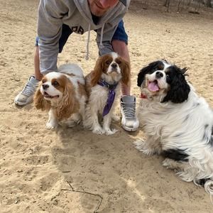 Meet your Posher, Derek